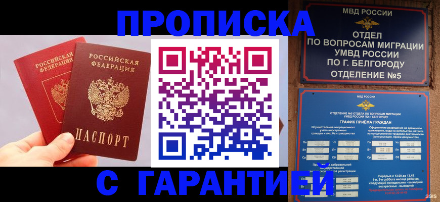 прописка 2025 в Невеле